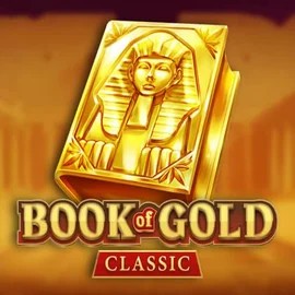 game logo by Playson on wolfscasino.fr